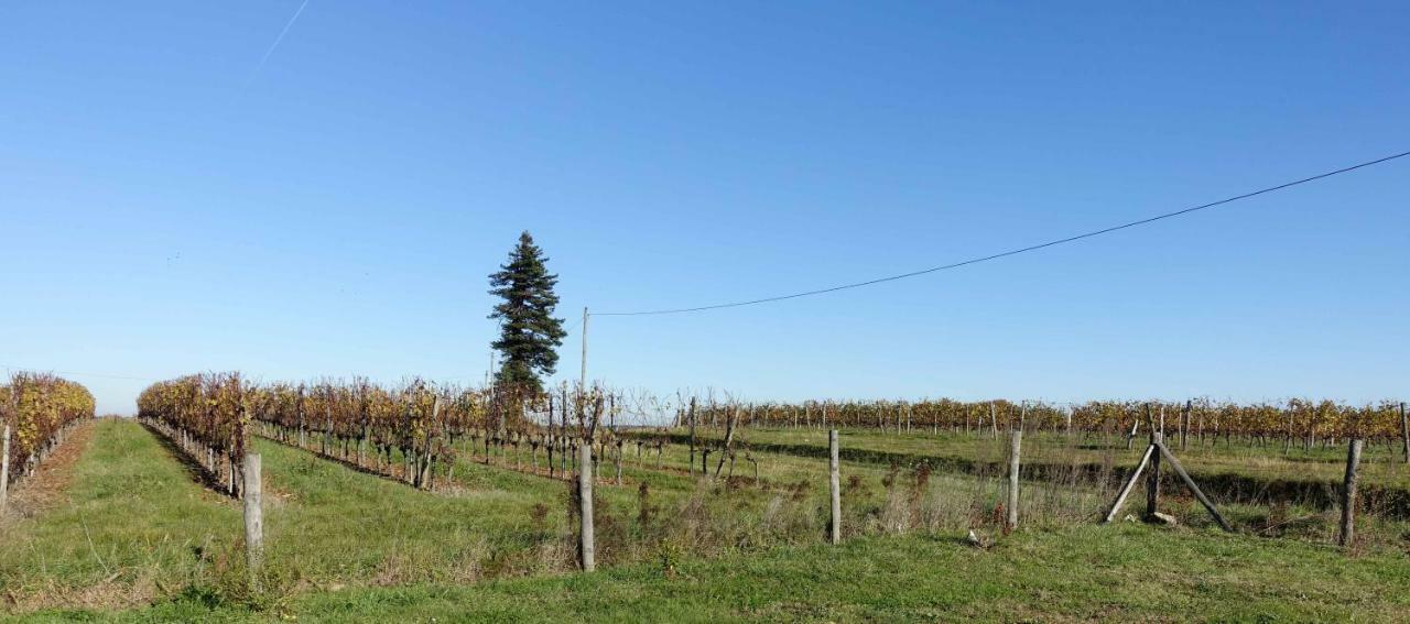 Le Clos De La Chataignere Villa Verac ภายนอก รูปภาพ